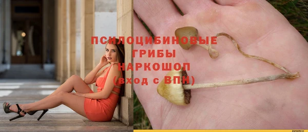 PSILOCYBIN Нягань