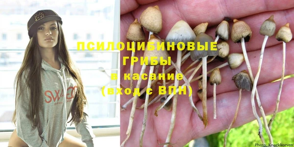 ГАЛЛЮЦИНОГЕННЫЕ ГРИБЫ Нязепетровск