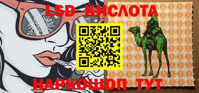 шишки Балахна