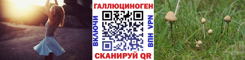 площадка наркотические препараты  Клин  Галлюциногенные грибы GOLDEN TEACHER 