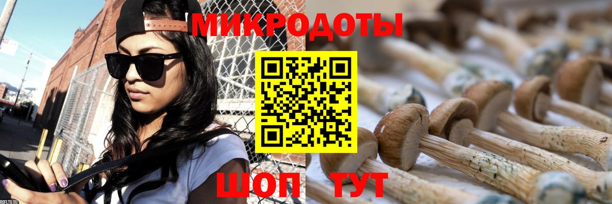 Галлюциногенные грибы MAGIC MUSHROOMS Клин