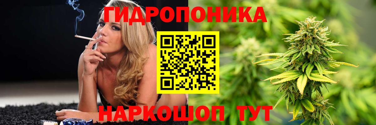 Бошки Шишки семена  Бошки марихуана AK-47  Бошки Шишки ГИДРОПОН  МАРИХУАНА THC 21%  Клин 